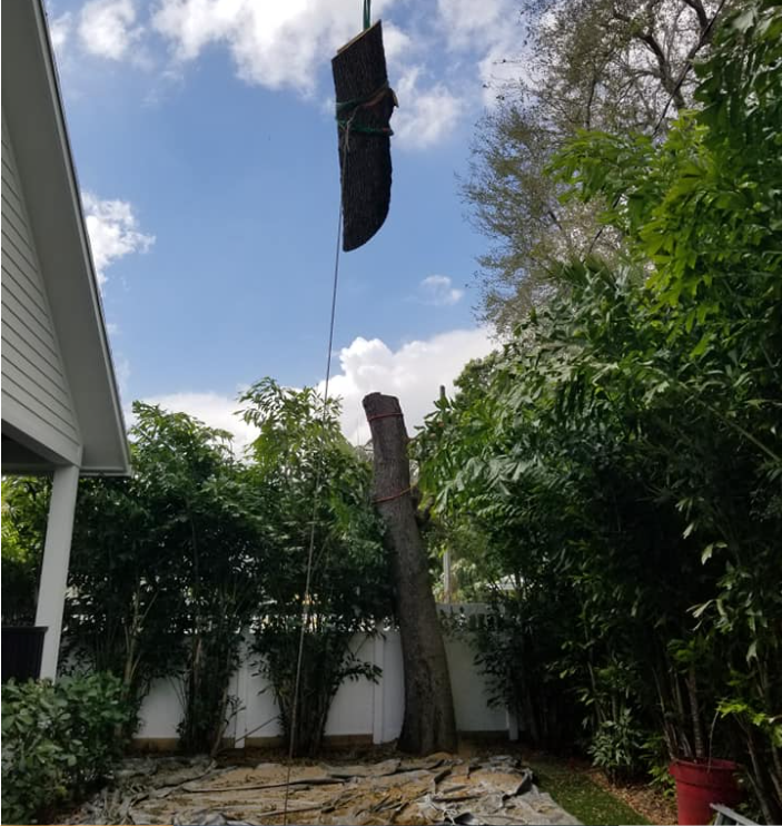 Screenshot 2025 08 13 105936 Screenshot 2025 08 13 105936