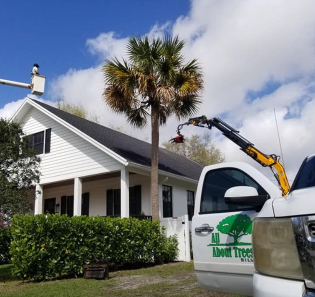 Screenshot 2025 10 08 100132 Screenshot 2025 10 08 100132