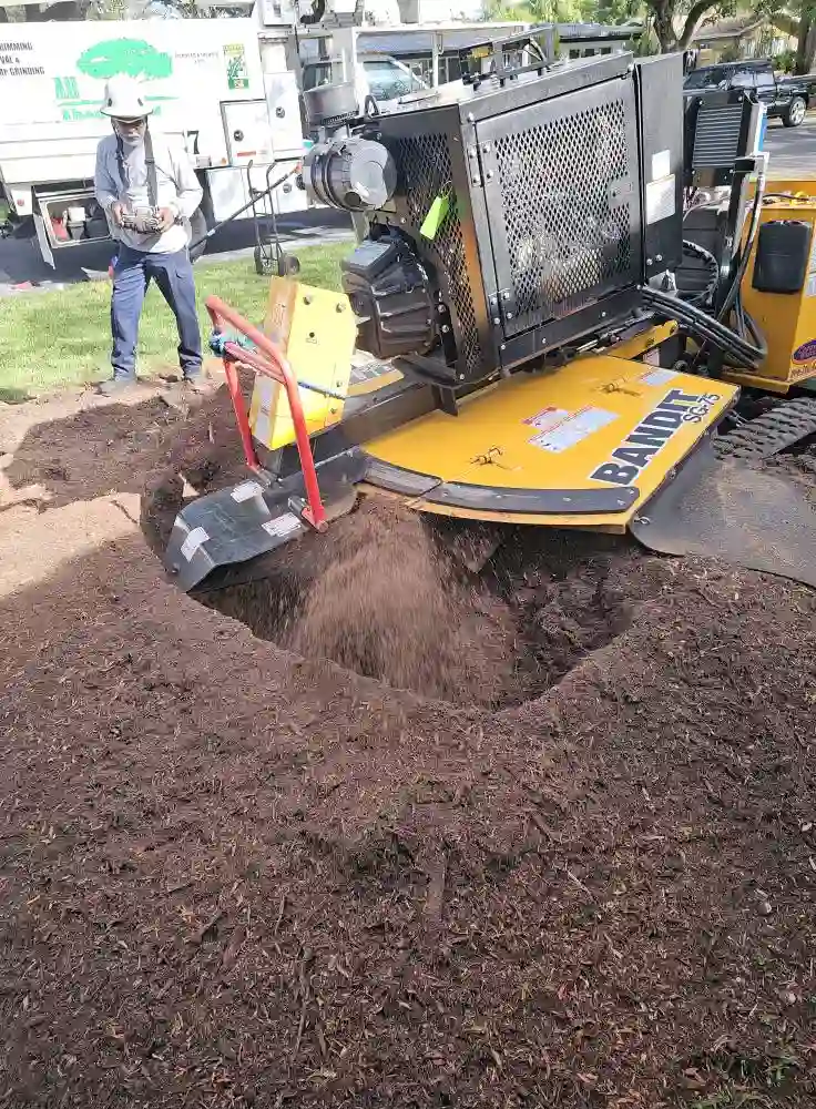 stump grinding process 