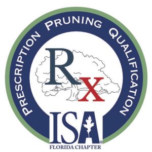 ISA badge