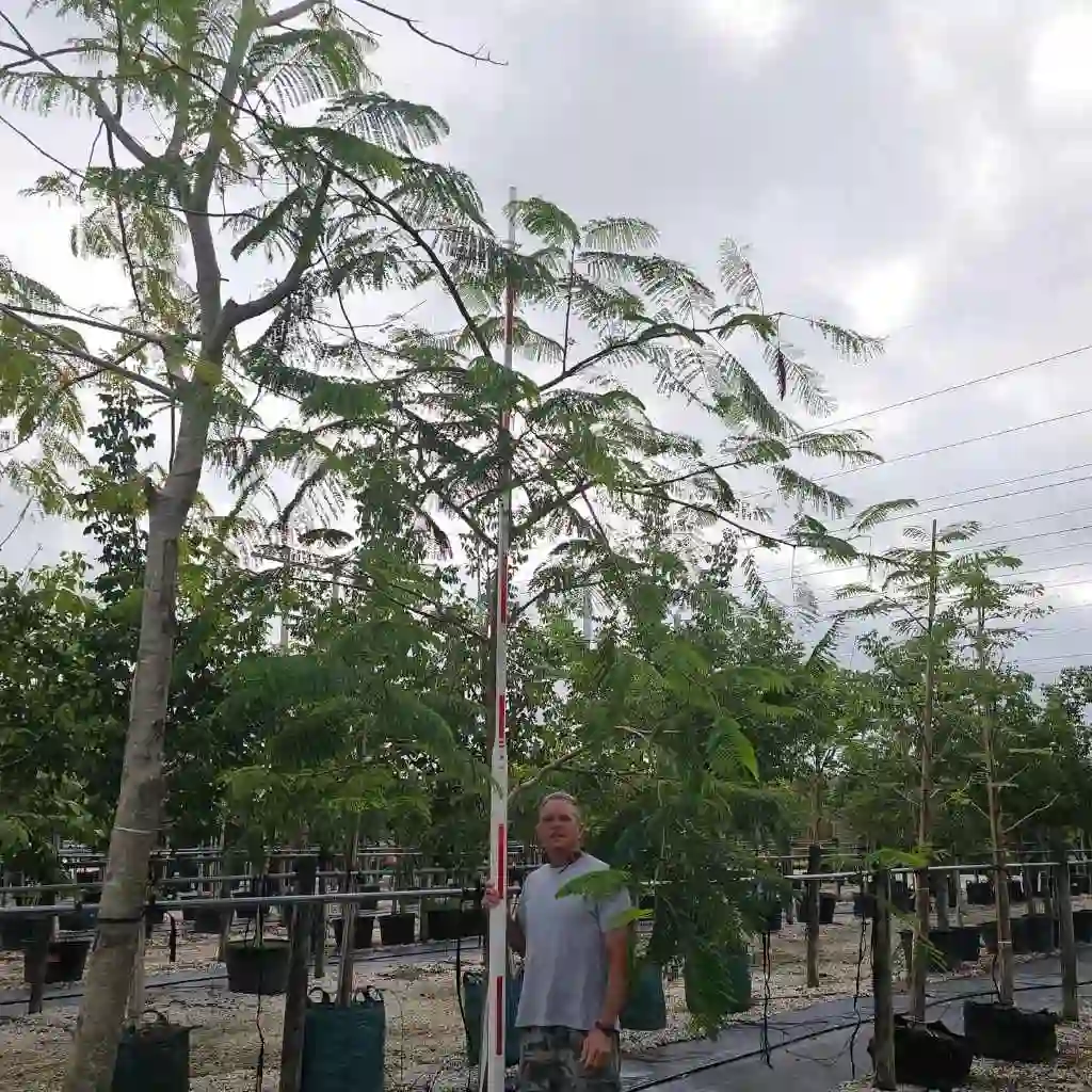 Disease Diagnosis and Treatment