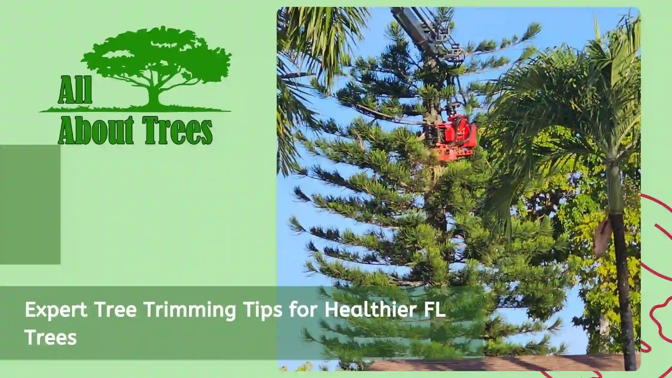 Expert Tree Trimming Tips for Healthier FL Trees