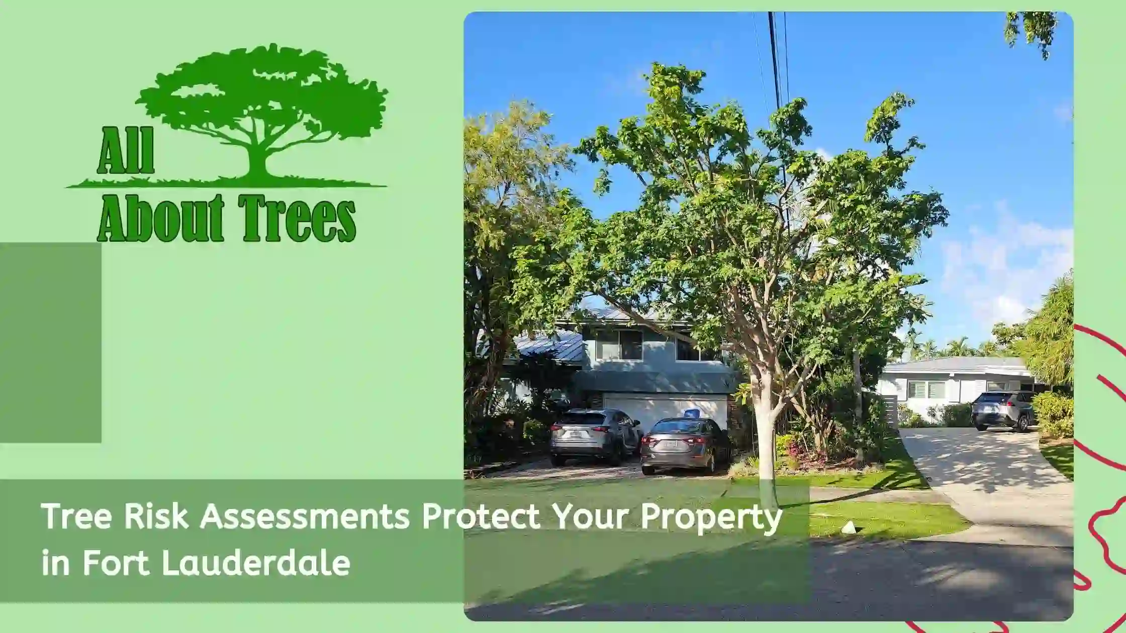 Tree Risk Assessments Protect Your Property in Fort Lauderdale