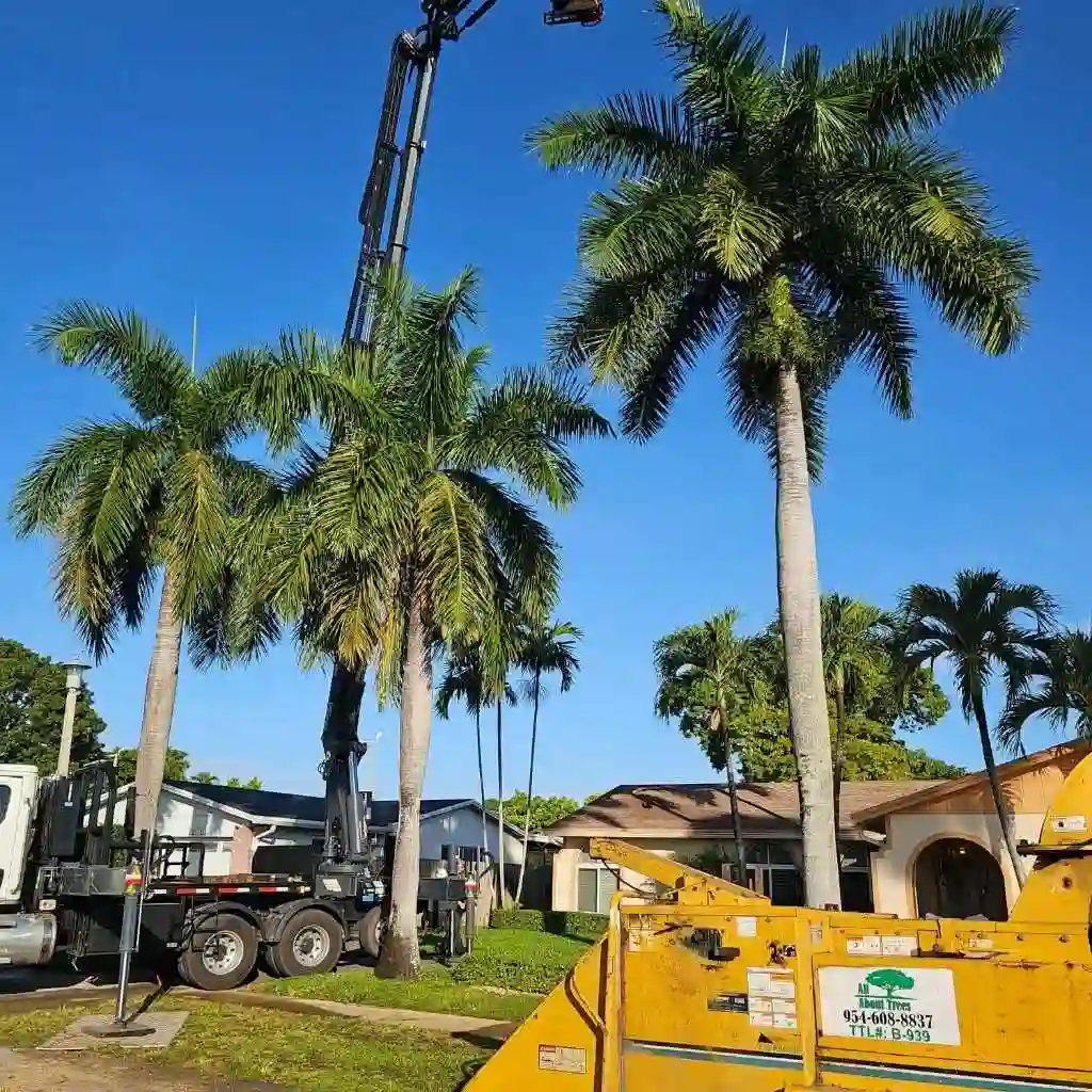 Trim for Storm Preparedness