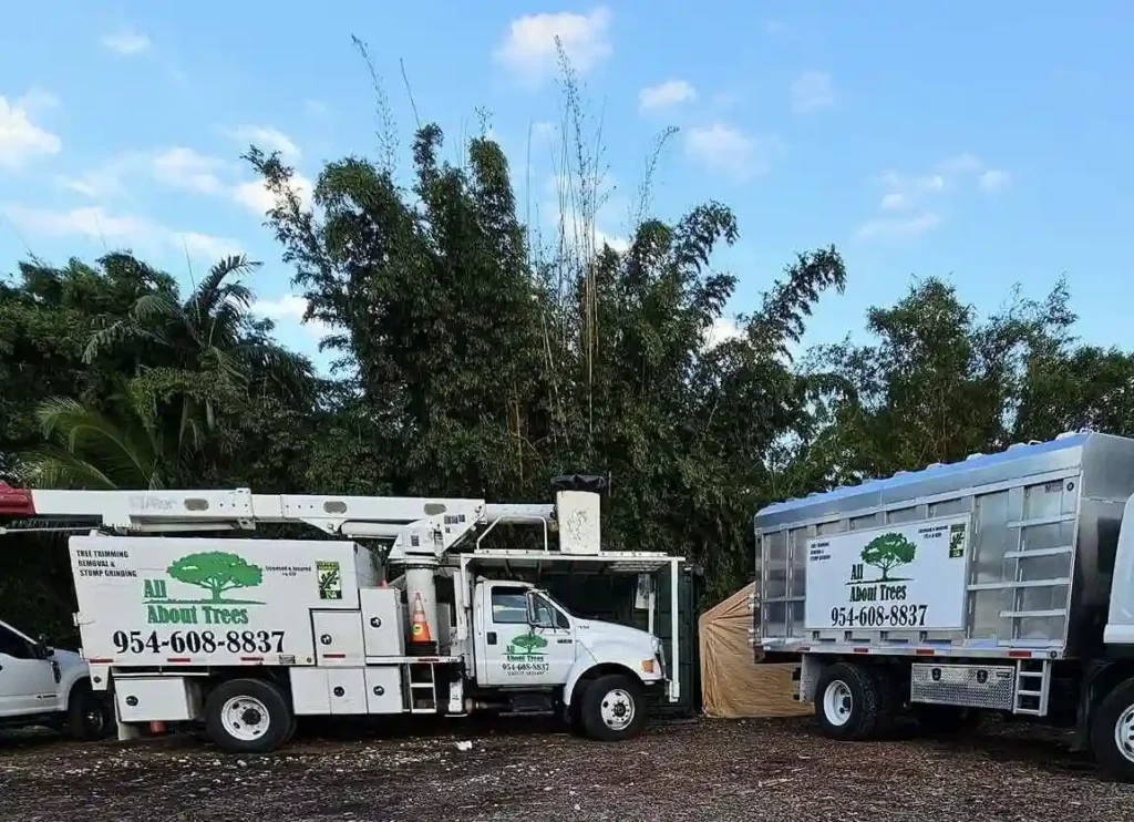 all about trees services truck