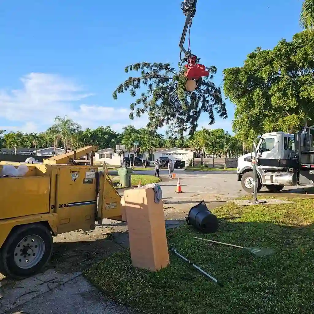 clean yard after emergency tree service
