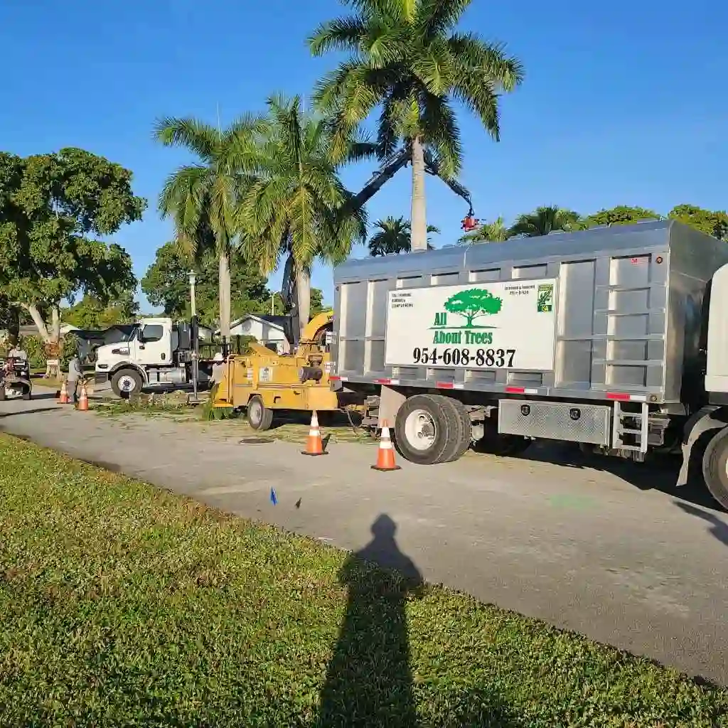 Professional crew safely removing a tree
