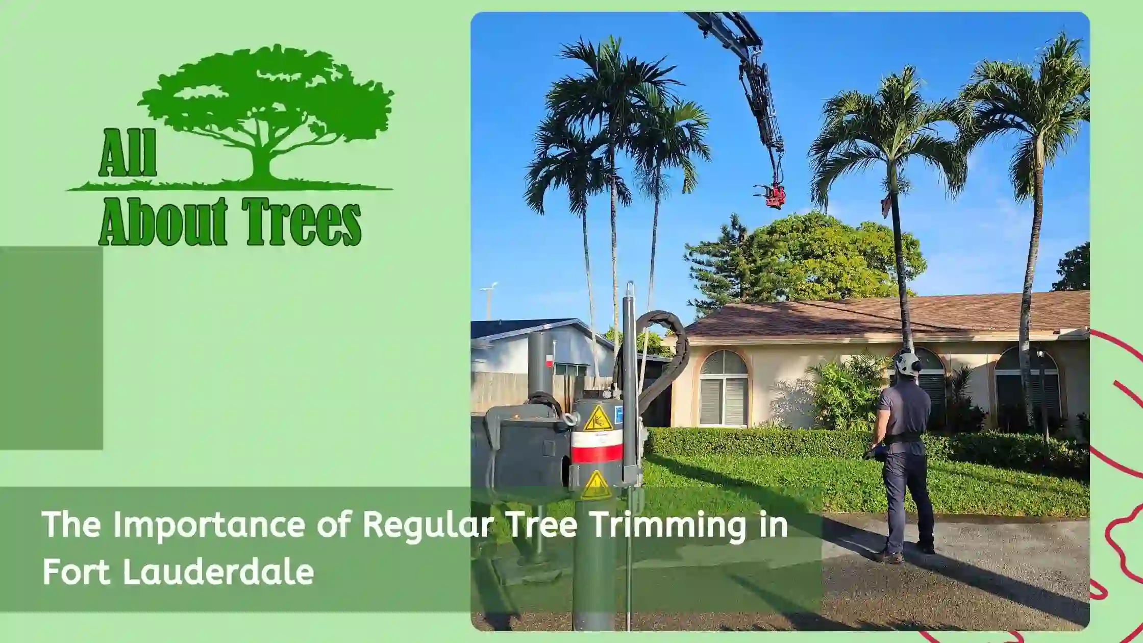 The Importance of Regular Tree Trimming in Fort Lauderdale