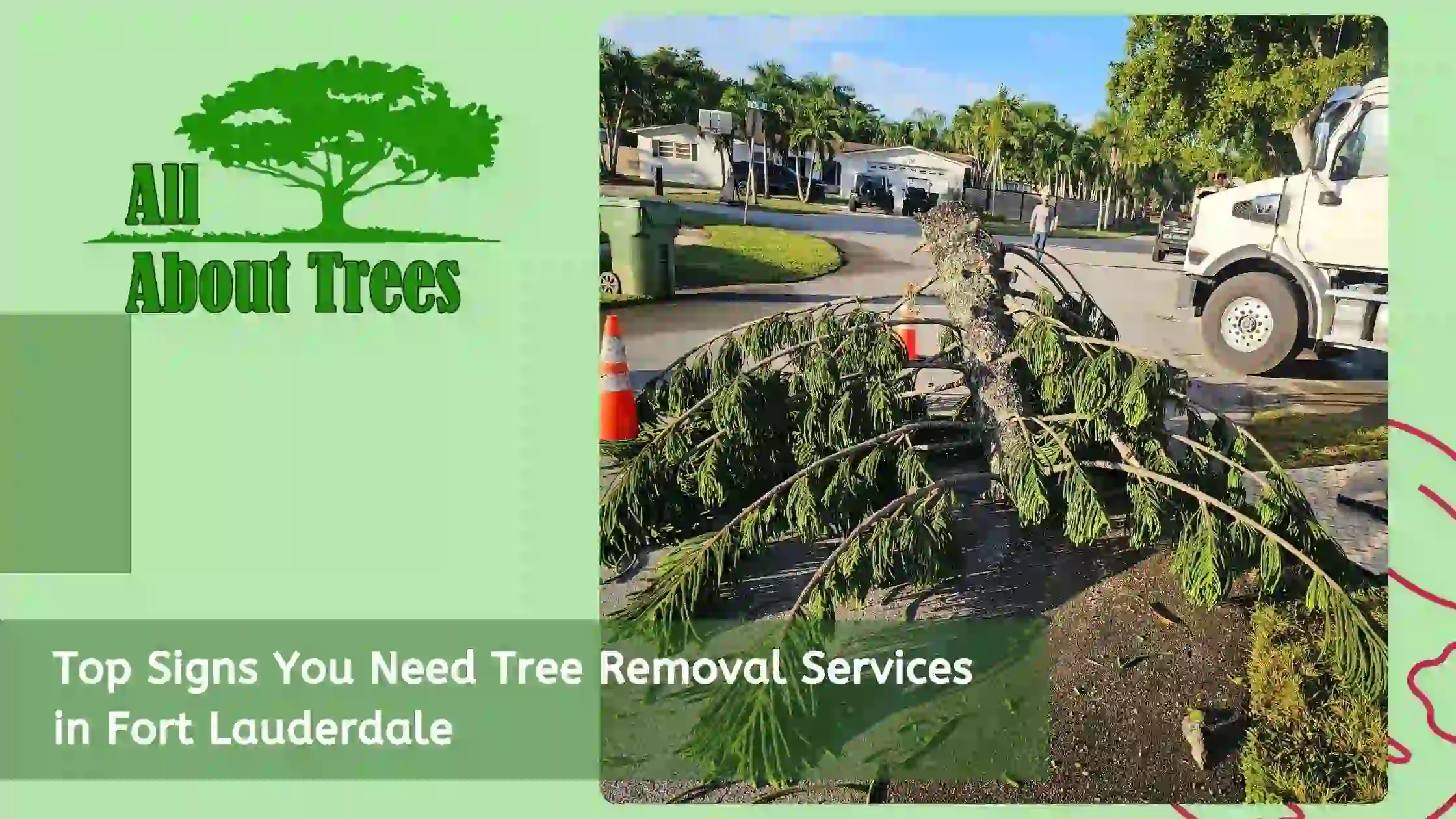 Top Signs You Need Tree Removal Services in Fort Lauderdale