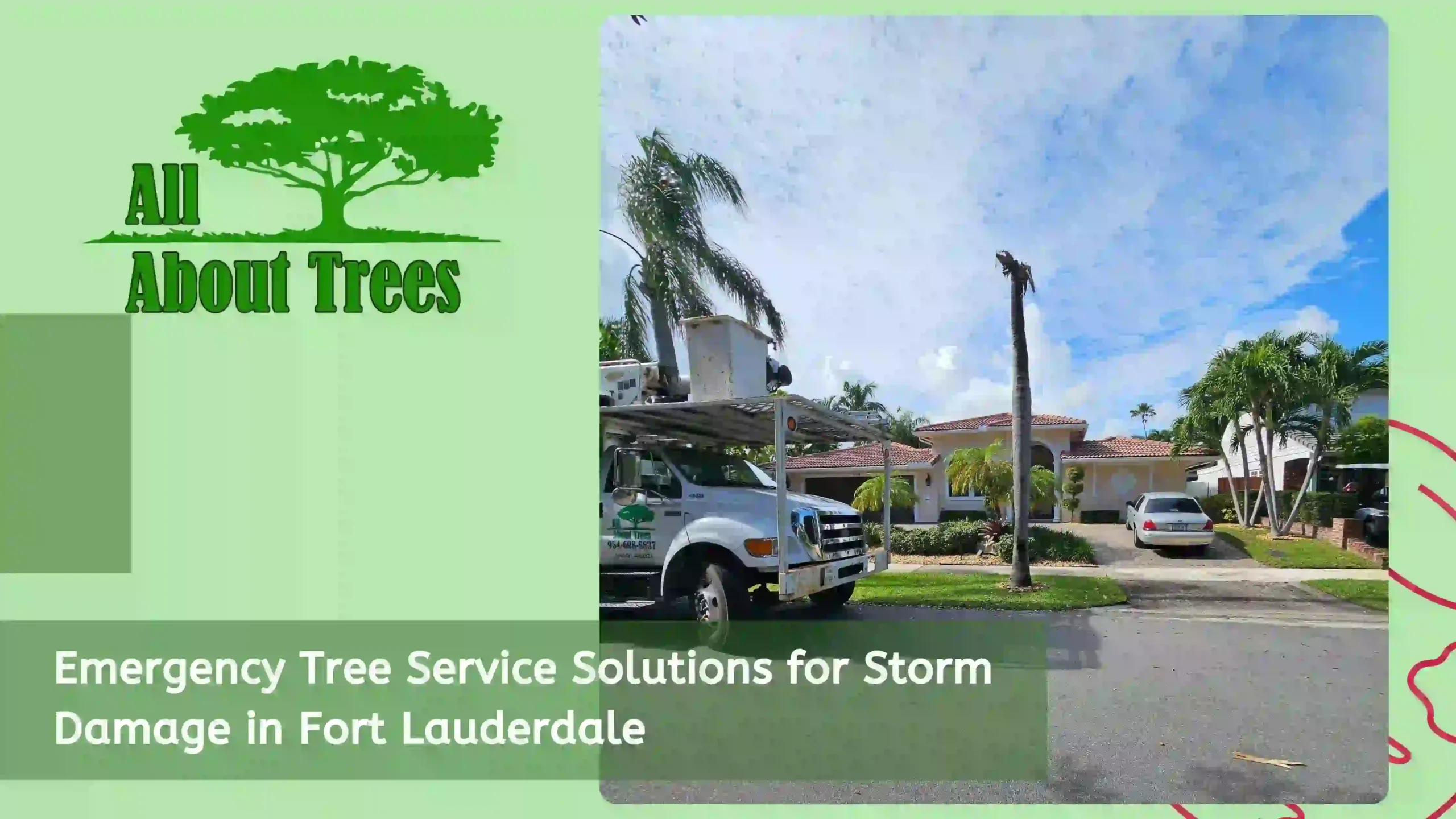 Emergency Storm Tree Service in Fort Lauderdale