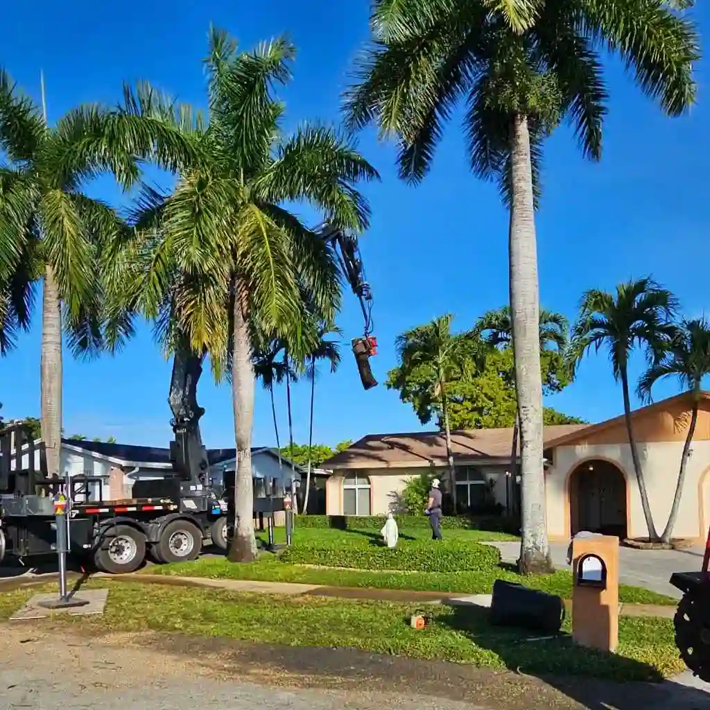 Large tree overhanging roof