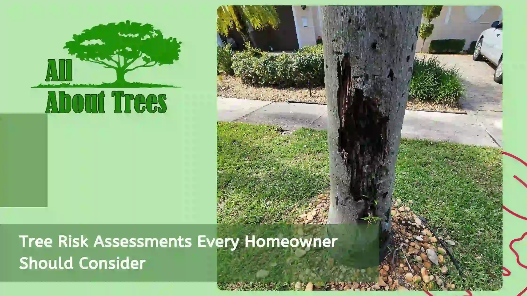 Tree Risk Assessments Every Homeowner Should Consider