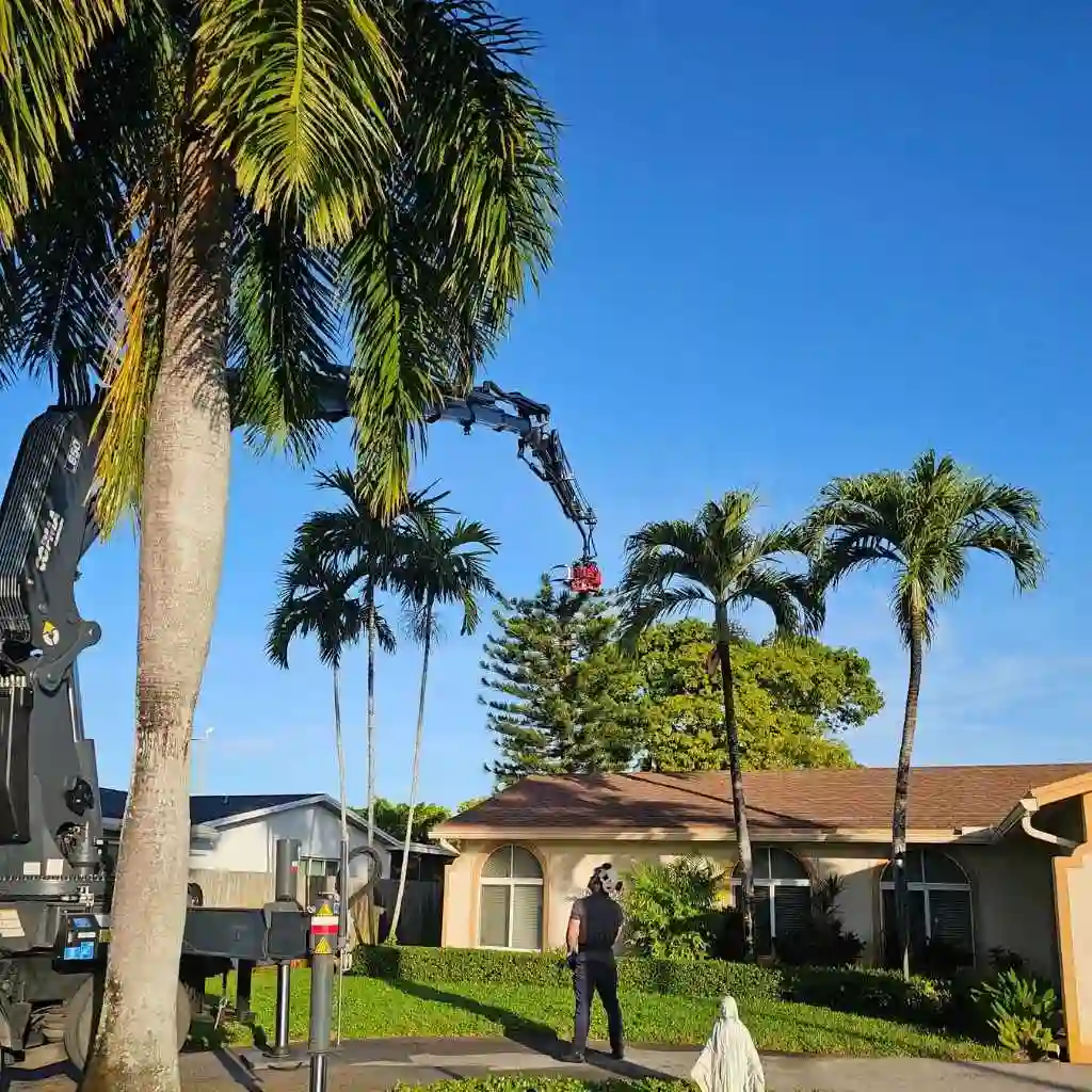 crane-assisted tree removal in tight residential space
