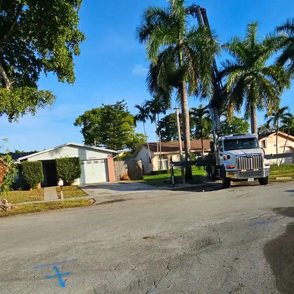 large tree leaning over residential roof