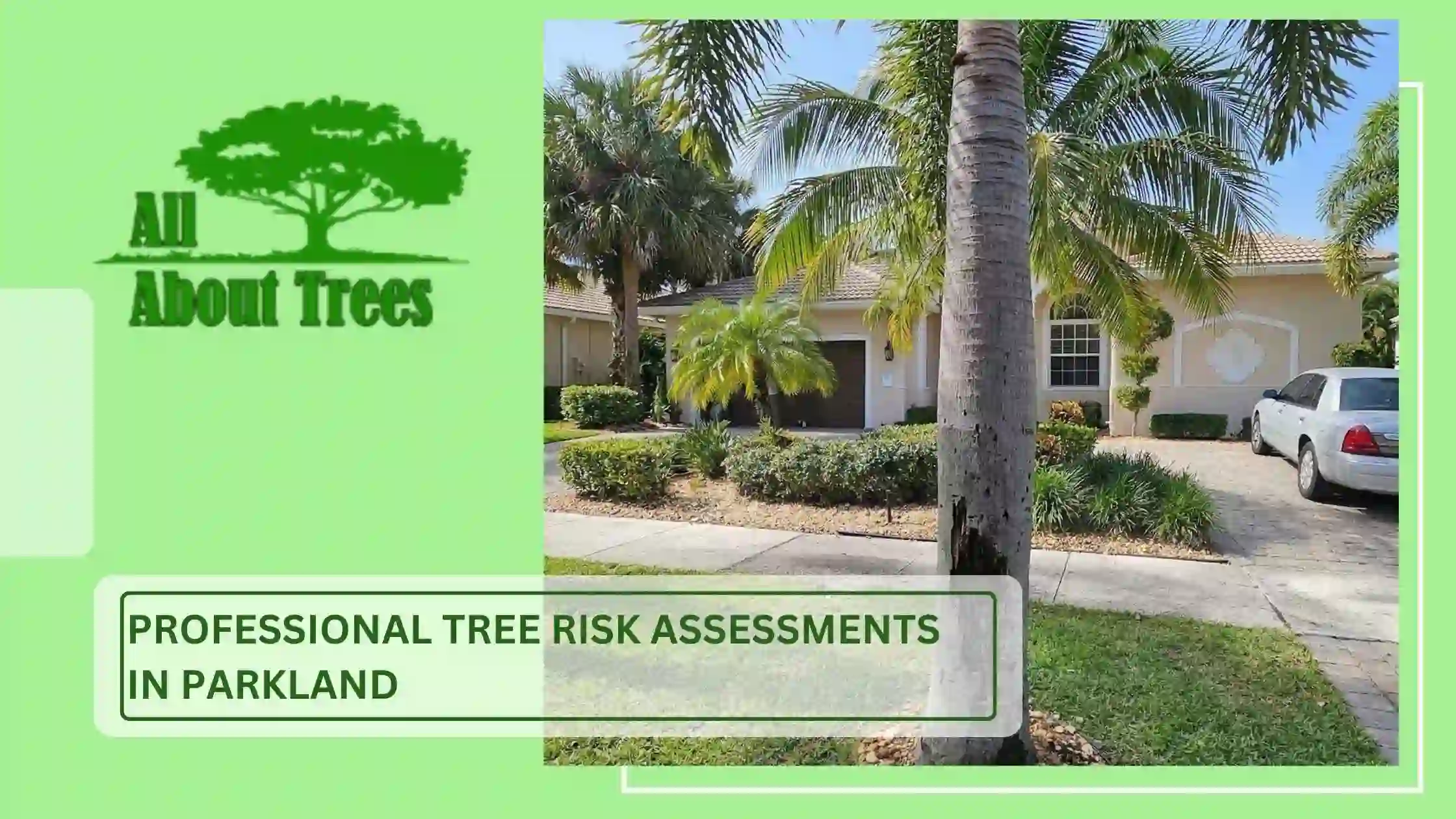 Professional Tree Risk Assessments in Parkland