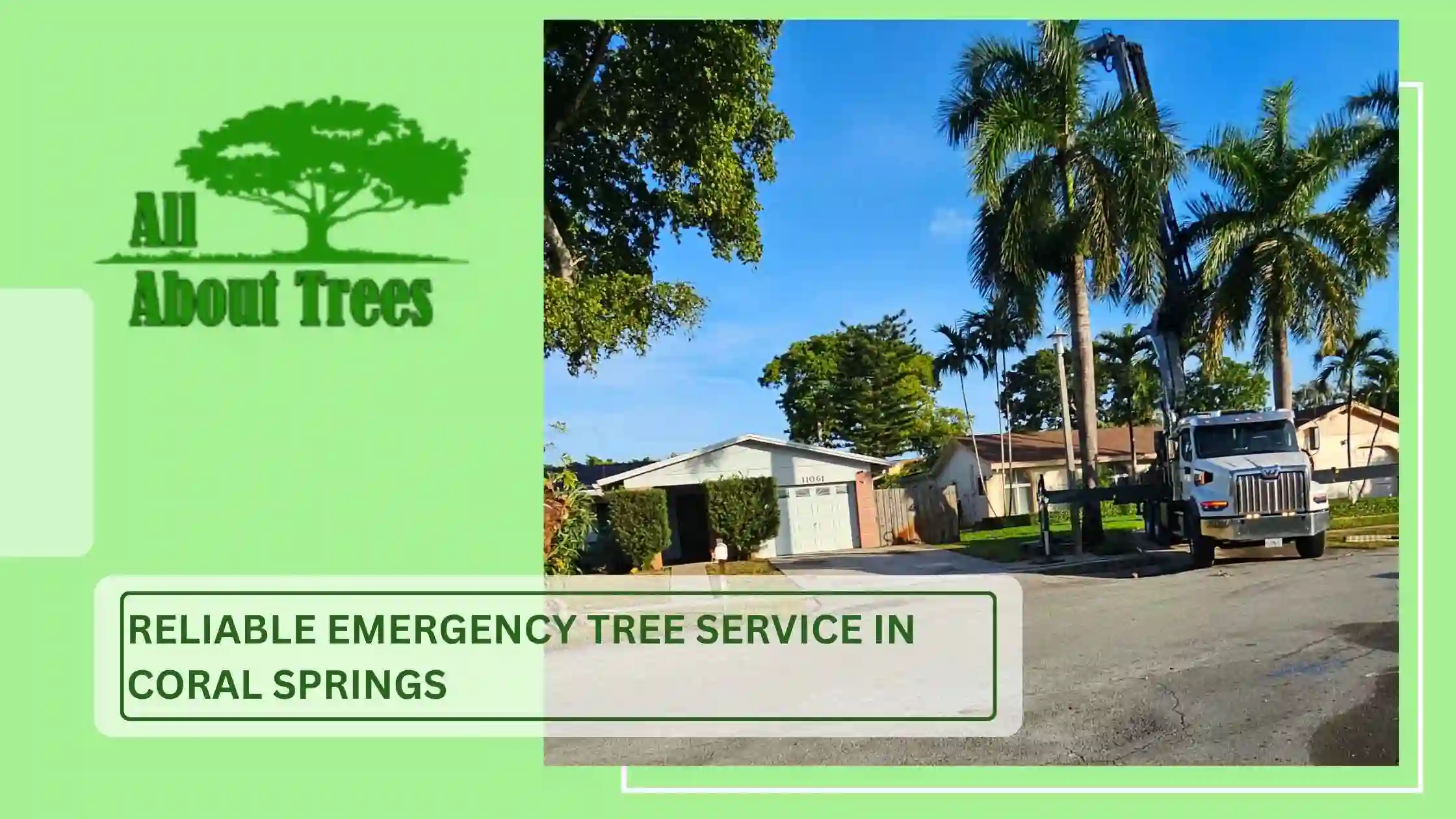 Reliable Emergency Tree Service in Coral Springs