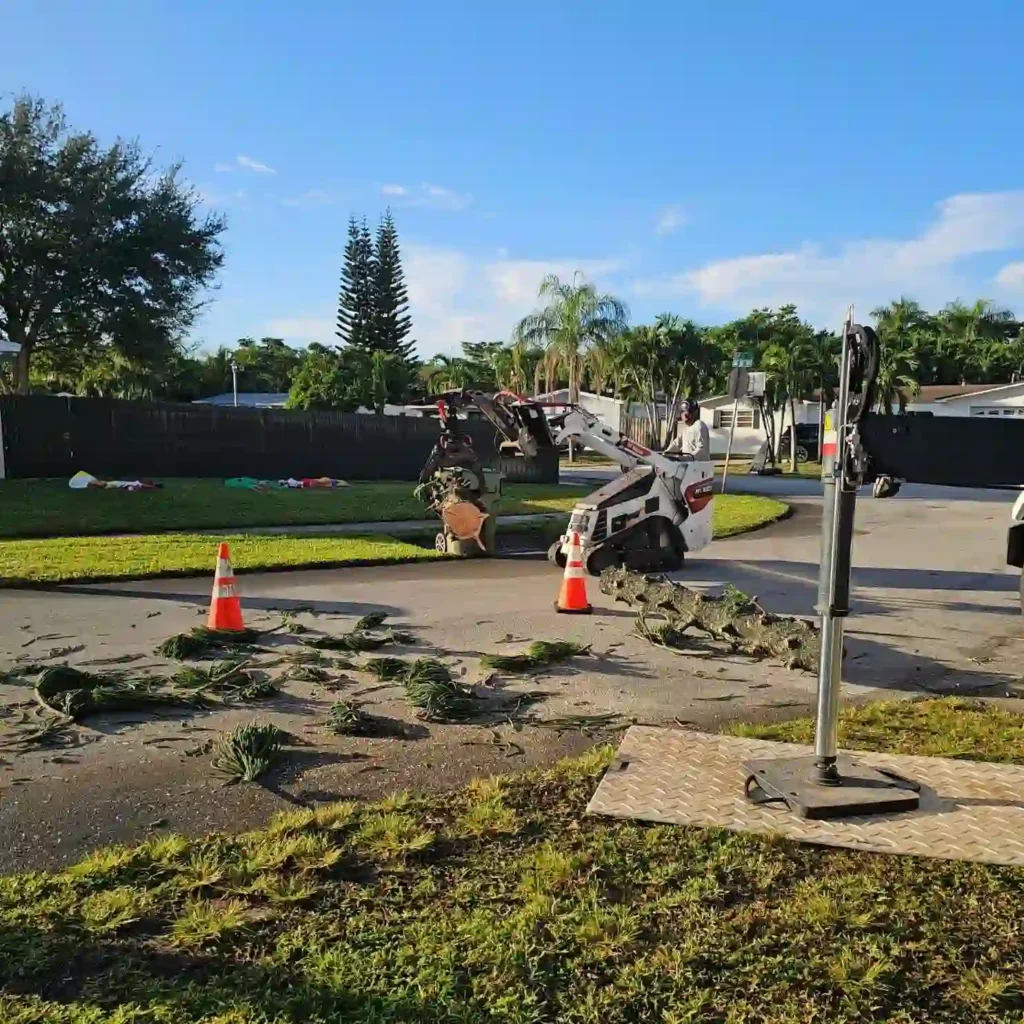 clean yard after tree debris has been removed.