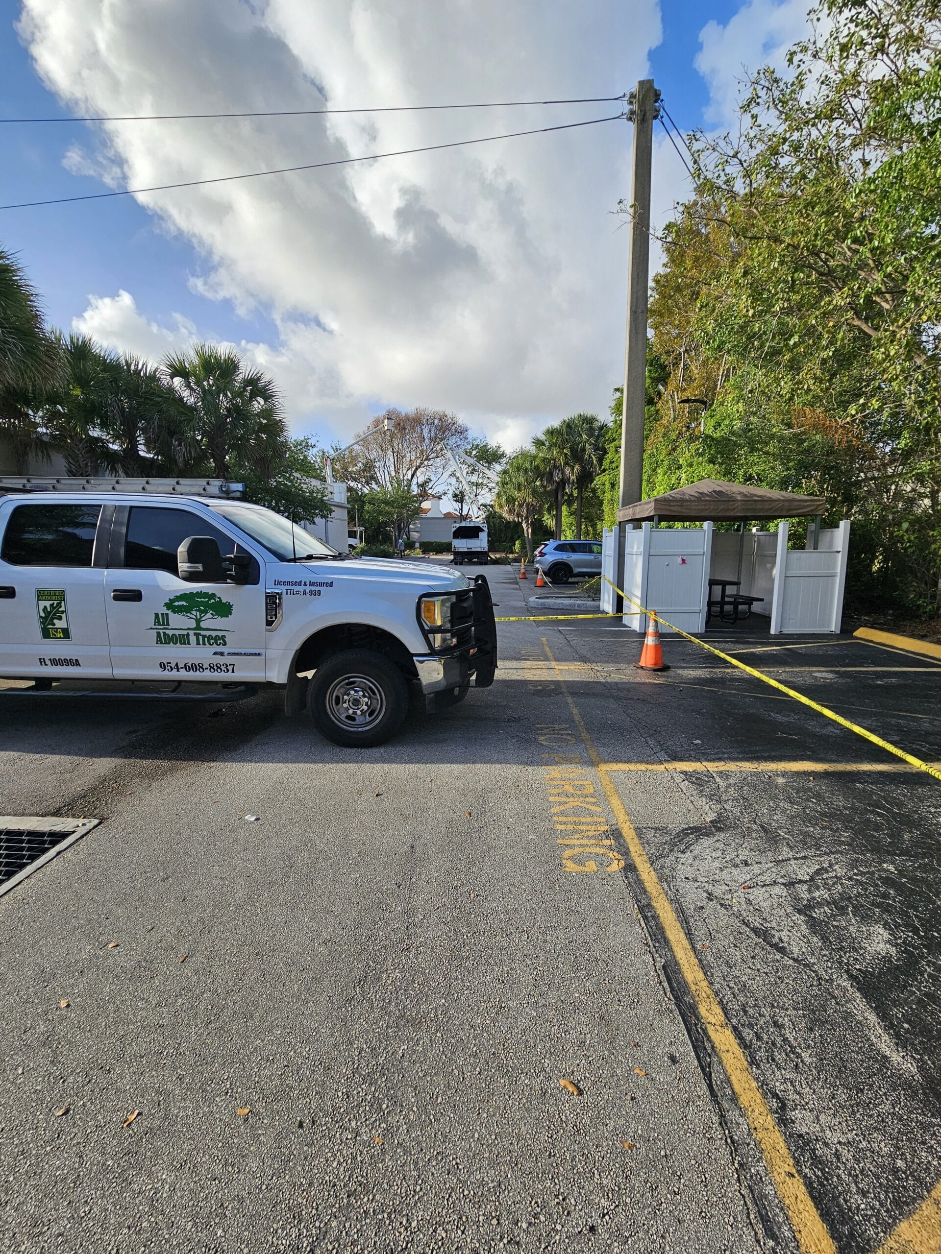 Our Process - All About Trees Tree Service Fort Lauderdale