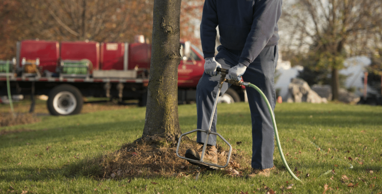 tree services in Parkland FL — deep root fertilization ISA certified arborist