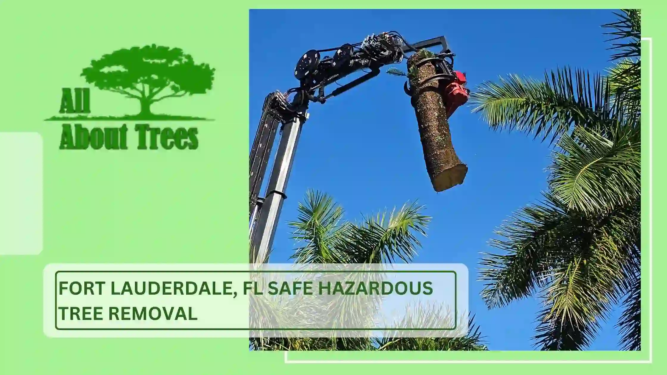 Fort Lauderdale, FL Safe Hazardous Tree Removal