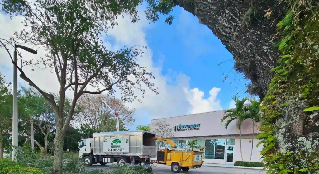newly installed trees enhancing a front yard landscape