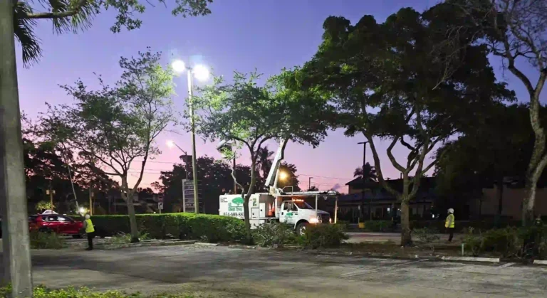 tree services in Boca Raton FL — estate arborist tree installation