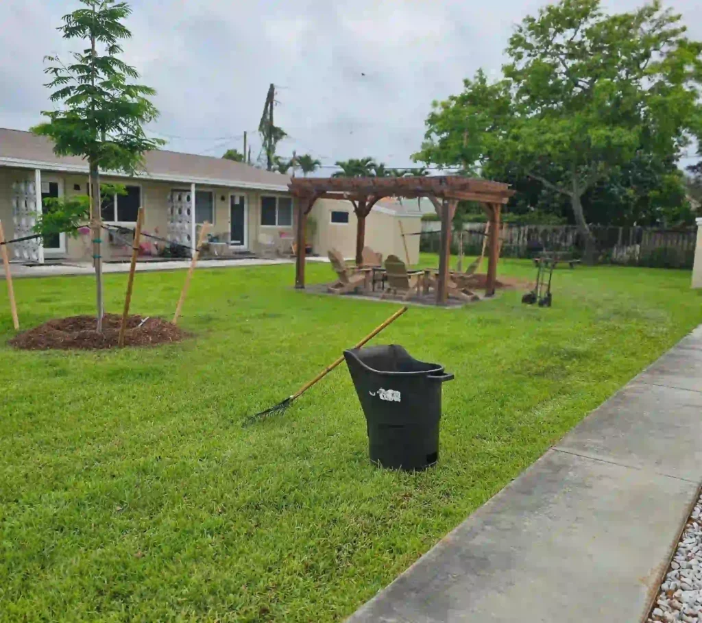 Safe tree removal completed on Fort Lauderdale property