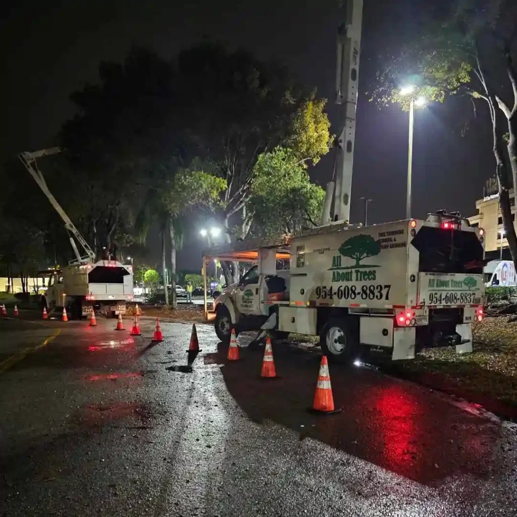 professional tree service team working safely