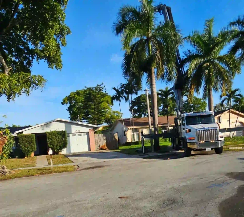 Certified arborist performing HOA approved tree trimming in Weston