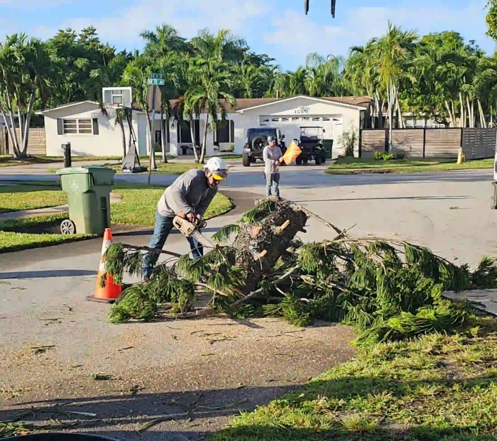 Storm damaged tree requiring emergency service in Coral Springs